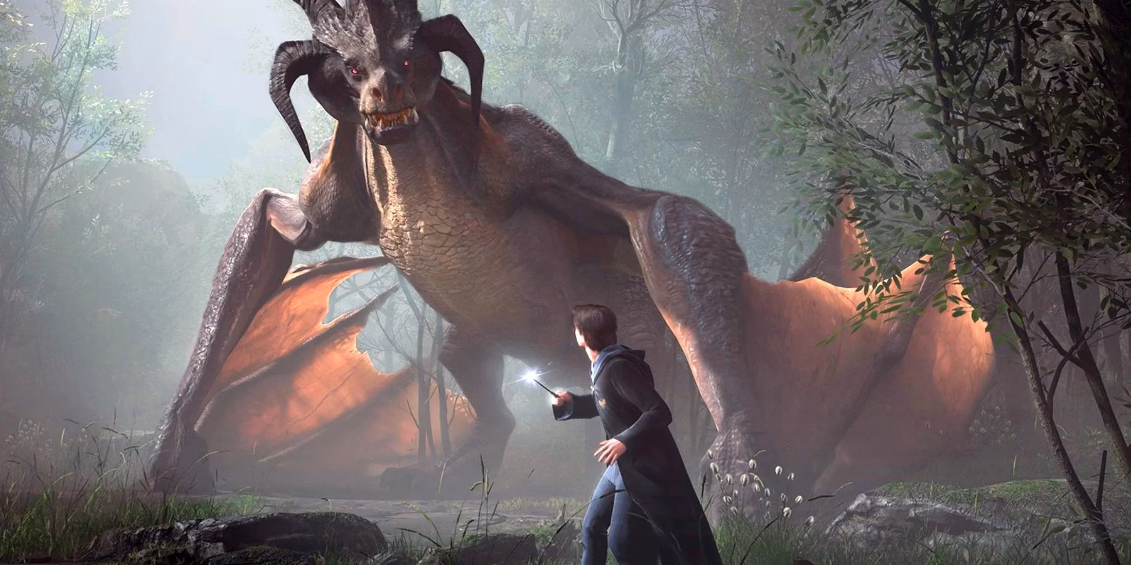 hogwarts-legacy-in-2025-dragon-fights-and-dlc-dreams-image-0