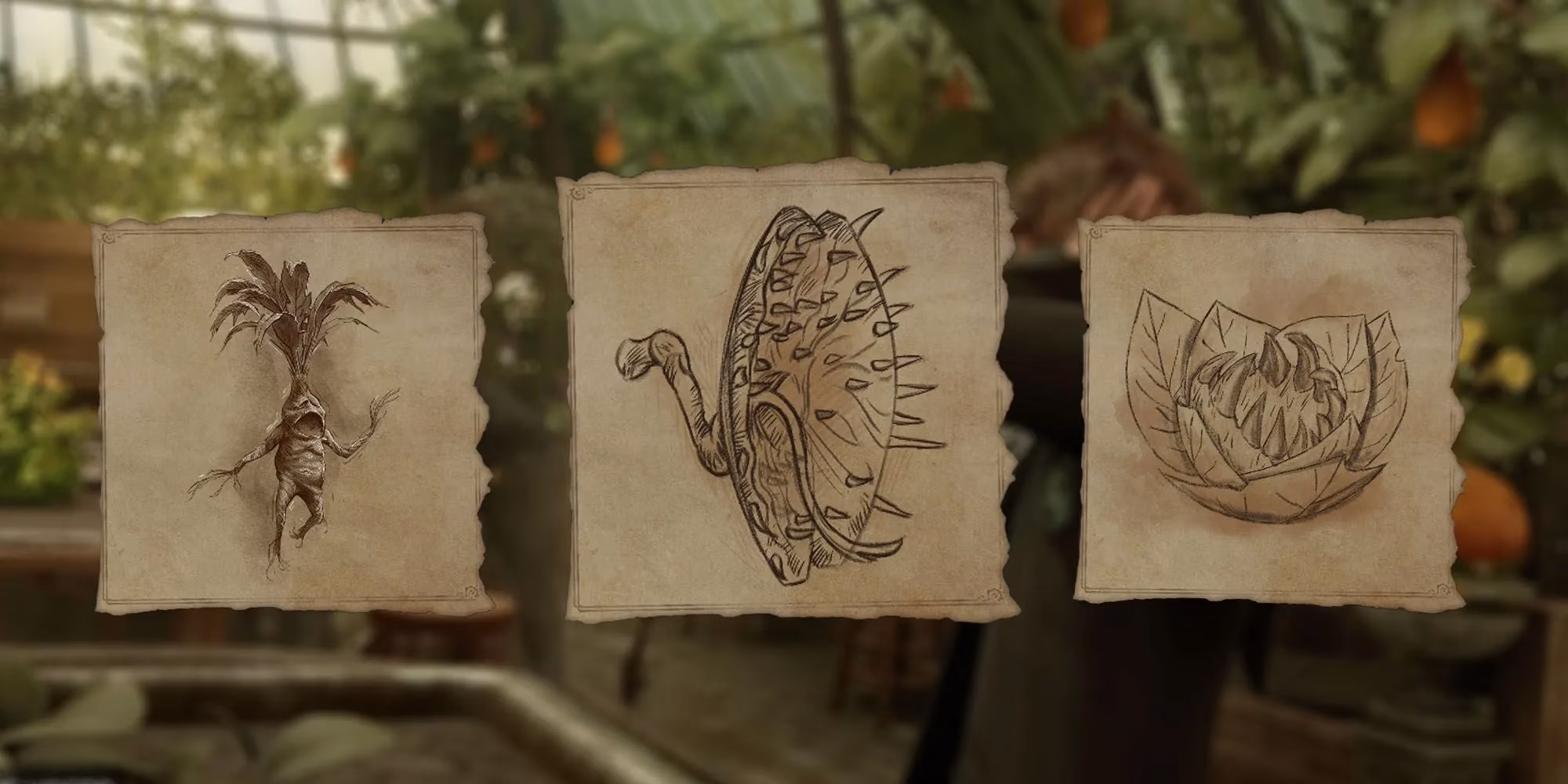 hogwarts-legacy-the-10-best-talents-every-player-should-unlock-image-4