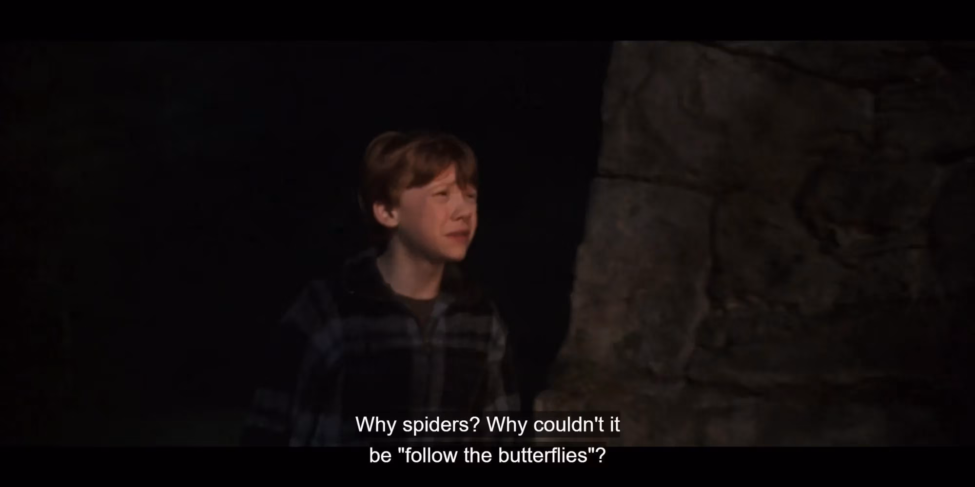 follow-the-butterflies-a-nostalgic-journey-through-hogwarts-legacys-finest-easter-egg-image-1